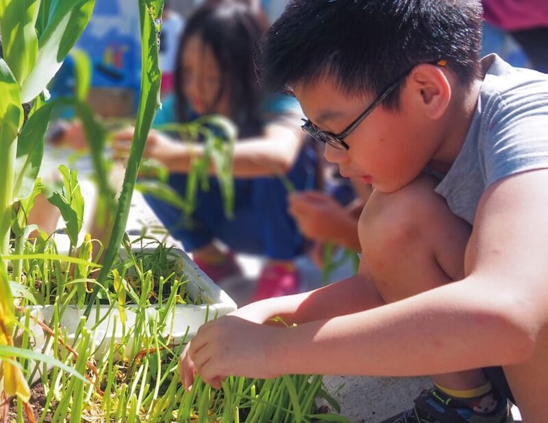 在農物的種植中形塑品格